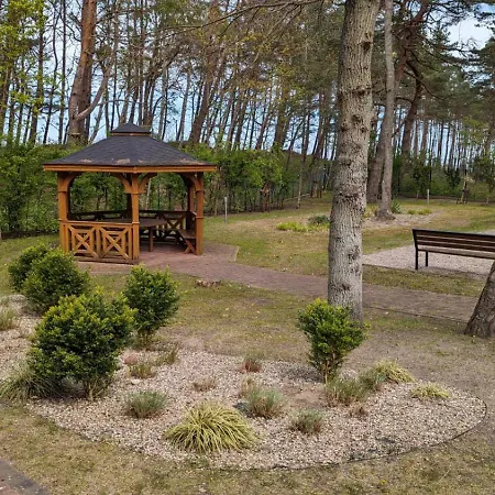 Dwie Sosny I Swierk *