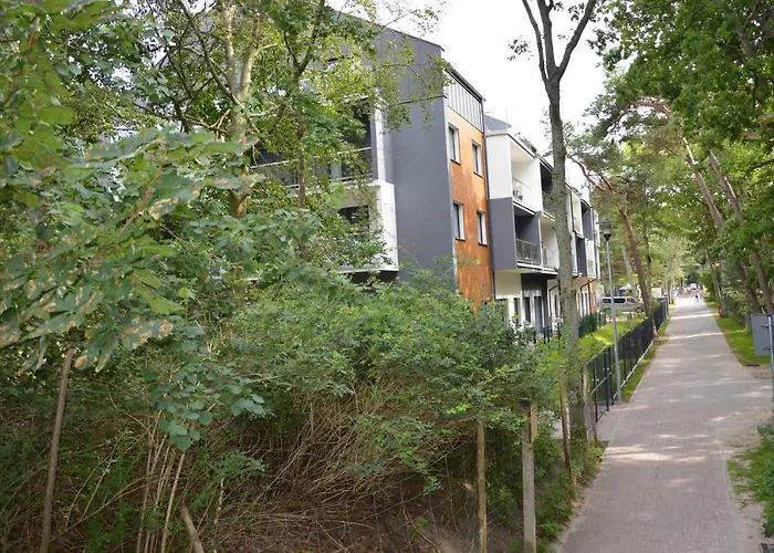 Dwie Sosny I Swierk Ustronie Morskie